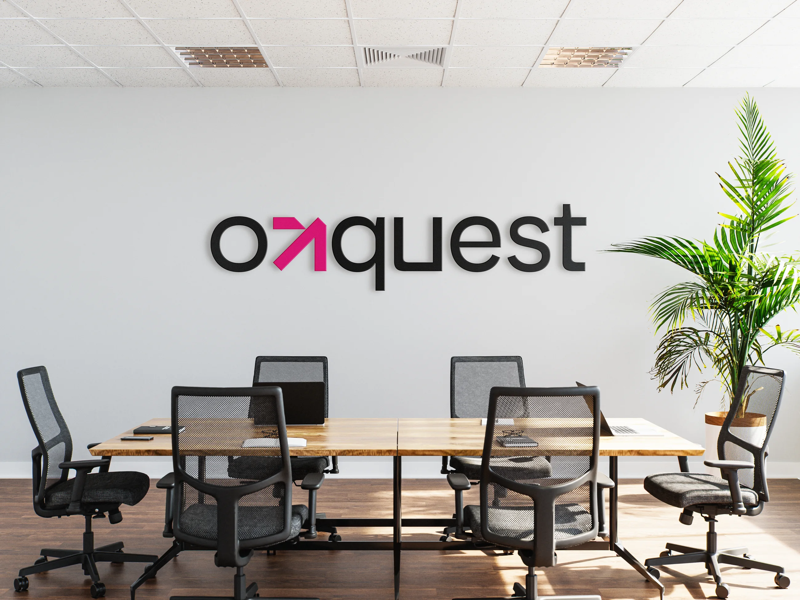 Aplicação 4 da identidade Onquest